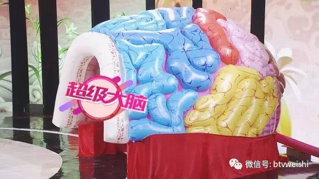 养生堂最近一期节目视频直播,养生堂张伯礼心脑血管疾病完整版