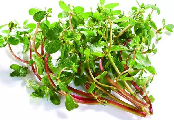 女人是水做的,女人是水做的这句话怎么理解