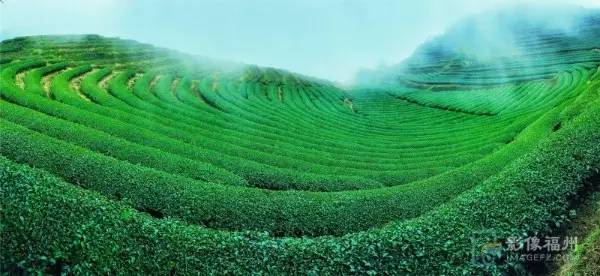 游茶山,游茶山竹海