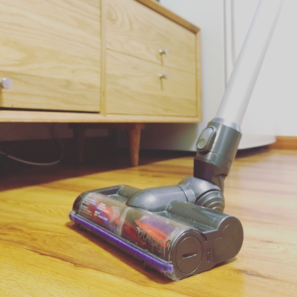 一只猫的生活意见读后感,一只猫的生命