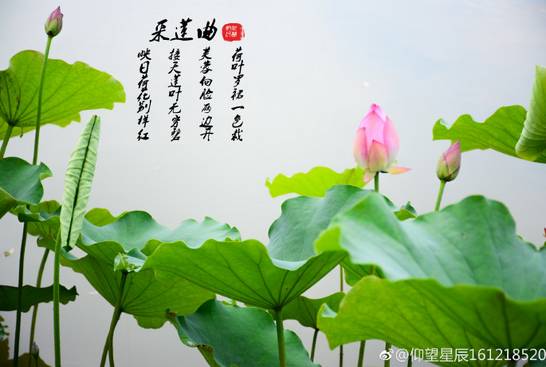 周末一日游详细攻略 (周末带你去旅行攻略)