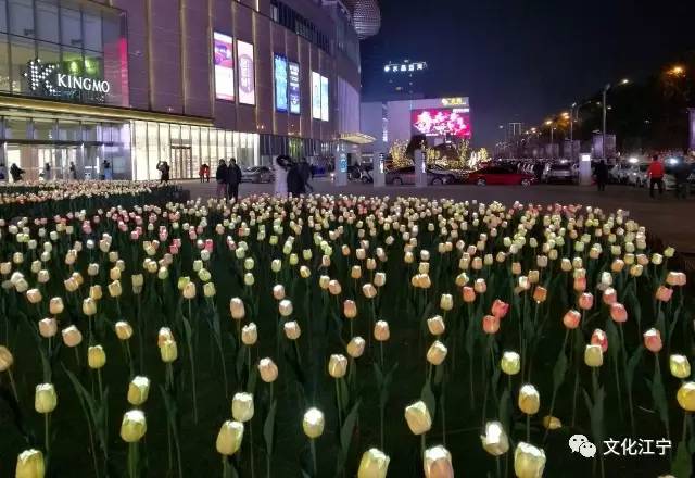 10年前江宁百家湖,南京江宁百家湖说说