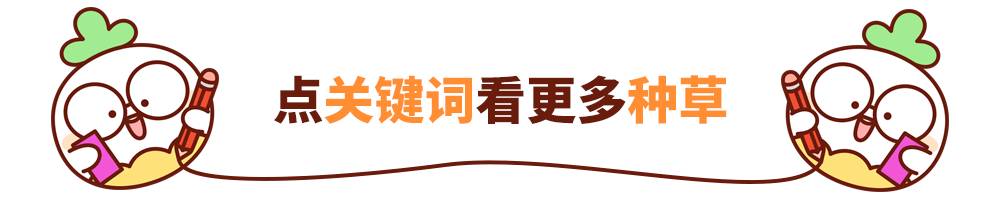 60元泰国必买口红,便宜又好用的泰国妆