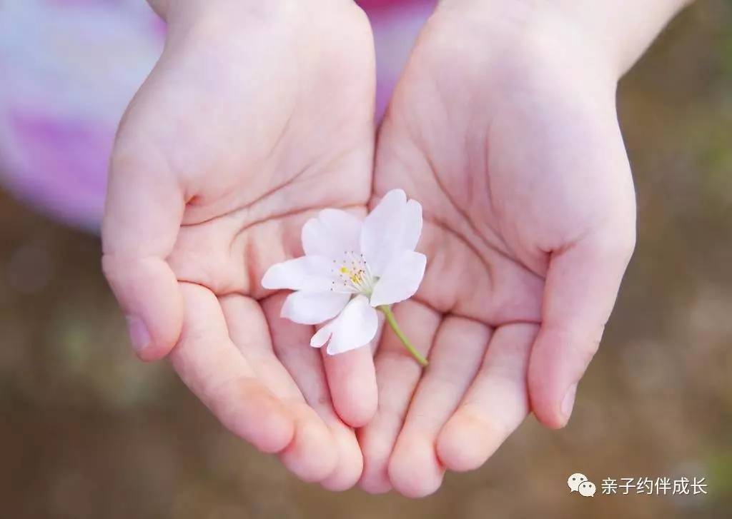 考试季来个刺激，看看“玩霸”玩出“学霸”