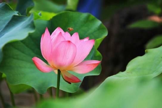 周末一日游详细攻略 (周末带你去旅行攻略)