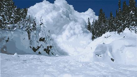 赏冰乐雪游龙江,赏雪玩冰之旅攻略