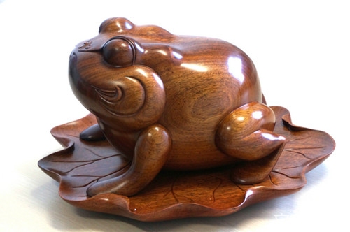 金蟾的饲养办法是什么,金蟾怎么饲养