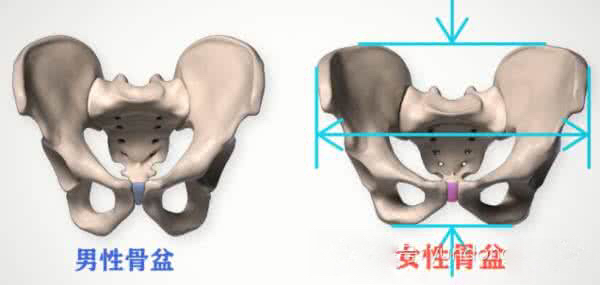 屁股大容易顺产吗,屁股大顺产有优势吗