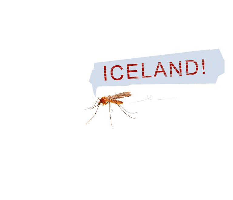 夏天被蚊子咬了许多疙瘩该怎么办,驱蚊好物有效防止蚊虫叮咬