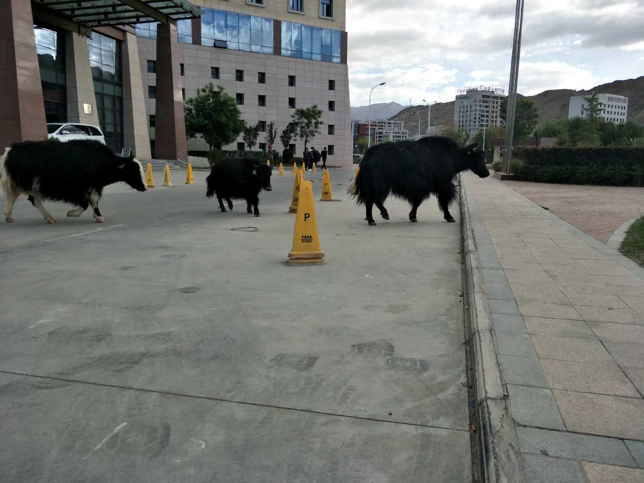 川藏线自驾游车队住宿,自驾川藏线到拉萨住宿推荐