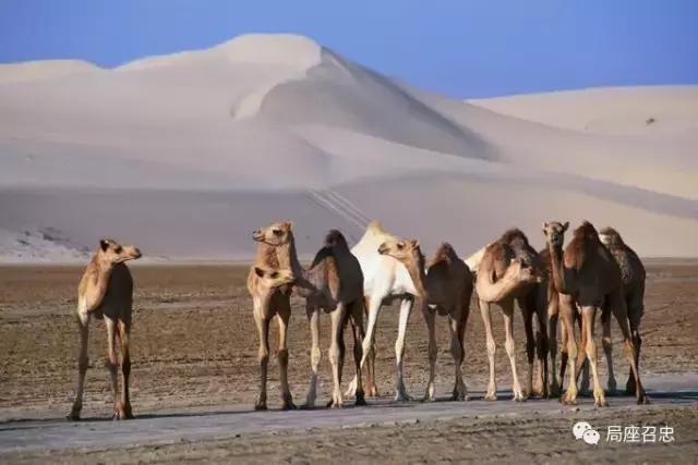 卡塔尔断交风波越闹越凶，最后还是波及到我们了