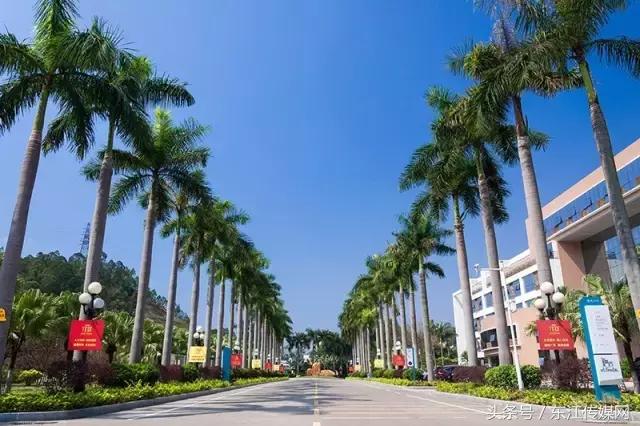 外人能不能进惠州学院,千万不要来广东上学