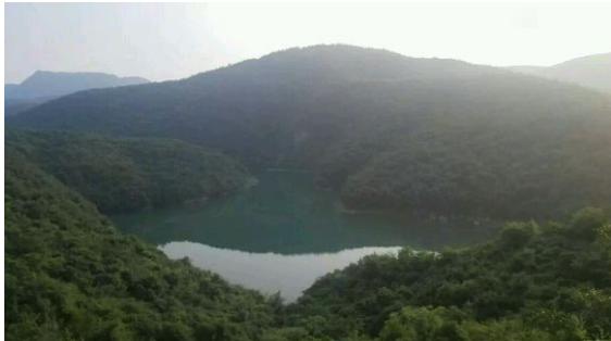 中华草龟和野生草龟的区别,草龟跟中华草龟有什么区别