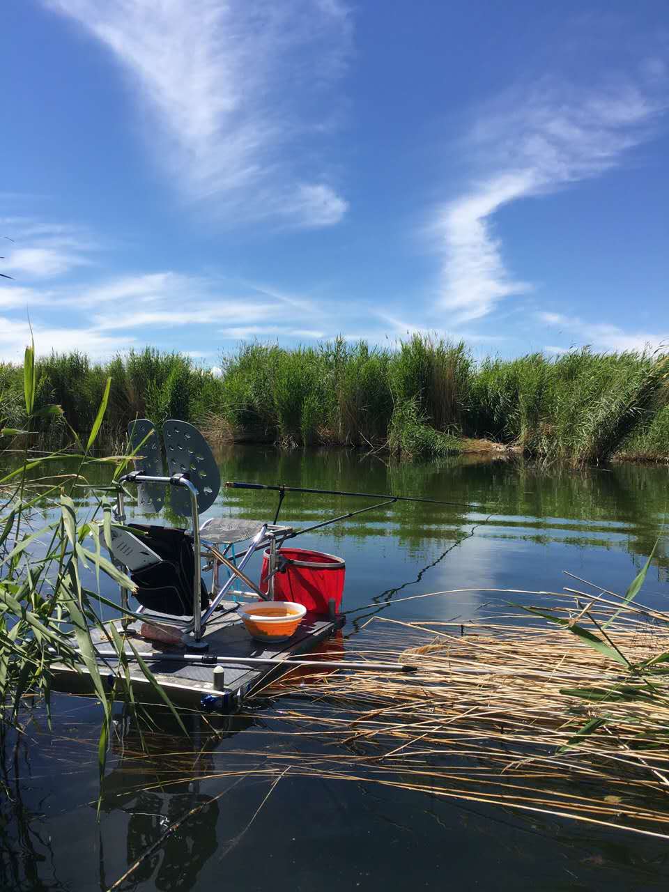 百姓钓鱼论坛plus专区,百姓钓鱼论坛官网