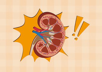 食疗方法降肌酐,2种方法简单粗暴让肌酐轻松下降