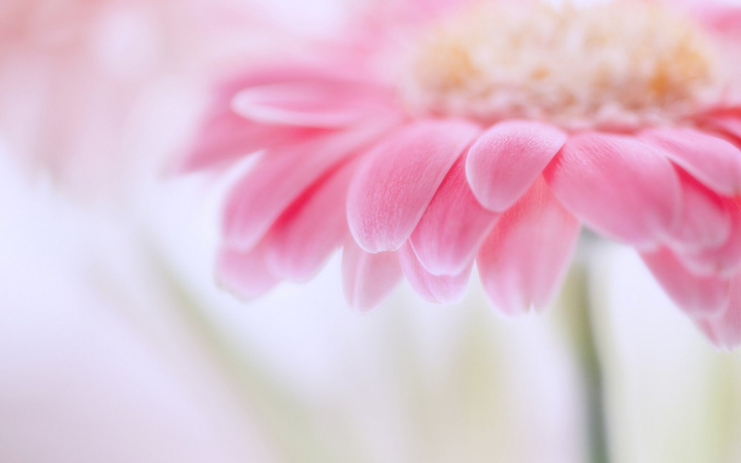 因为她的插足我父母离异，要原谅她吗