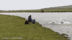 这个男孩用摔角暴打女朋友，惹得布洛克狂喷：去你妹的！