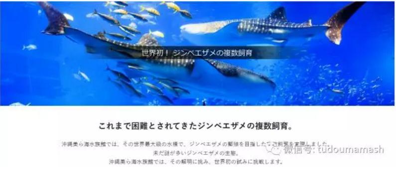 亲子暑假旅行好去处,日本冲绳亲子游自由行攻略图