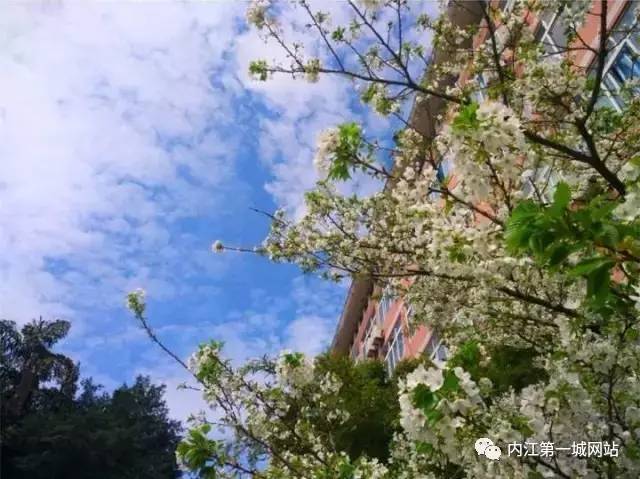 想穿校服,内江六中校服