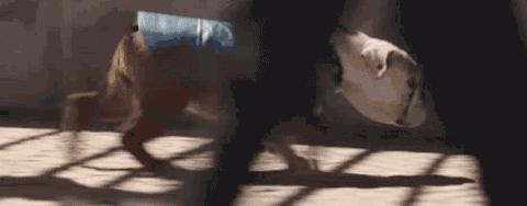 宜家那些事,宜家最近的事情