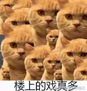 7大功效的bb霜,bb霜的作用和效果