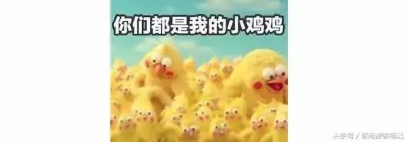 十大姨妈巾排行榜,各种姨妈巾红榜推荐