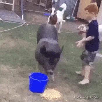 看到没？美女老师示范了分三步，分别是慢、慢、快