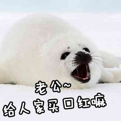 跟老公男朋友聊天专用微信QQ萌萌可爱带字表情包