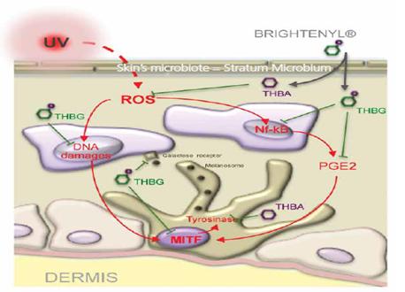 美白高科技测评,好用的黑科技美白产品