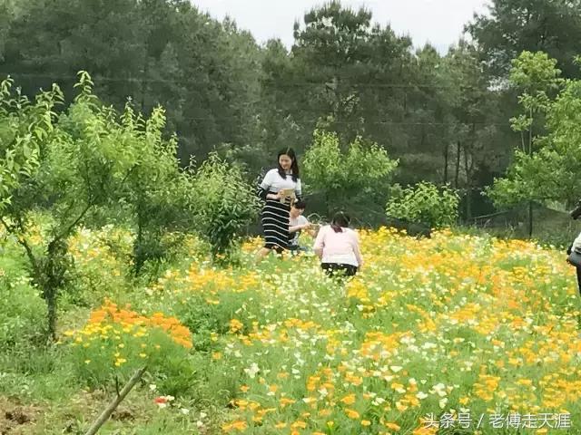 梁平适合夏天耍水凉快的地方,重庆梁平竹海旅游攻略