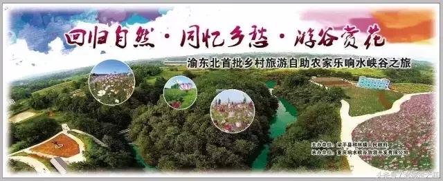 梁平适合夏天耍水凉快的地方,重庆梁平竹海旅游攻略