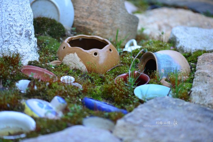 鎷滆涓滅鑽夊爞,鑺卞洯鎷滆