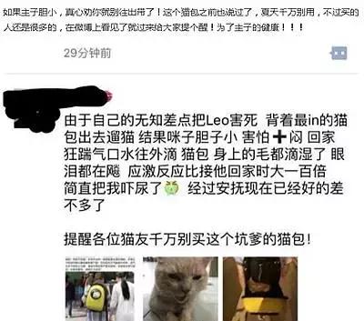 带猫出门被路人骂,带猫出去被骂的博主