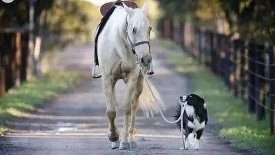 物流那些奇葩事,物流原来这么有趣