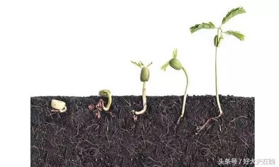 身上见红会流产吗,怀孕期间见红一定是流产吗