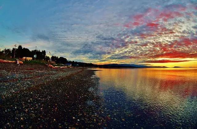 这个暑假来加拿大，有什么freestyle的新玩法？