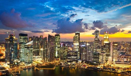 紫荆花开二十年,紫荆花开二十载