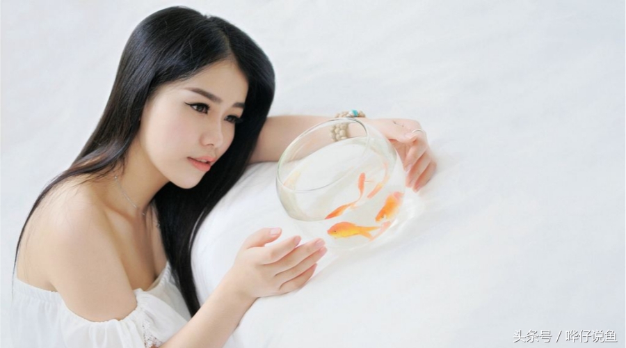 养宠物鱼的妙招,教你养观赏鱼视频