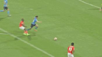 保定容大后续,保定容大简介