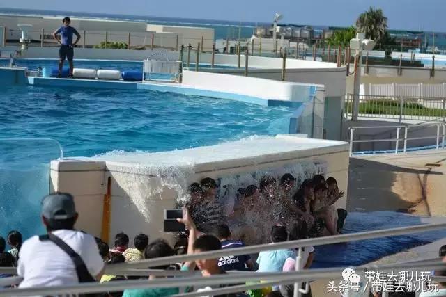 冲绳亲子游最强攻略,冲绳带娃旅游攻略