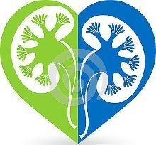 血尿里面有什么成分,血尿的原因和危害及其饮食禁忌