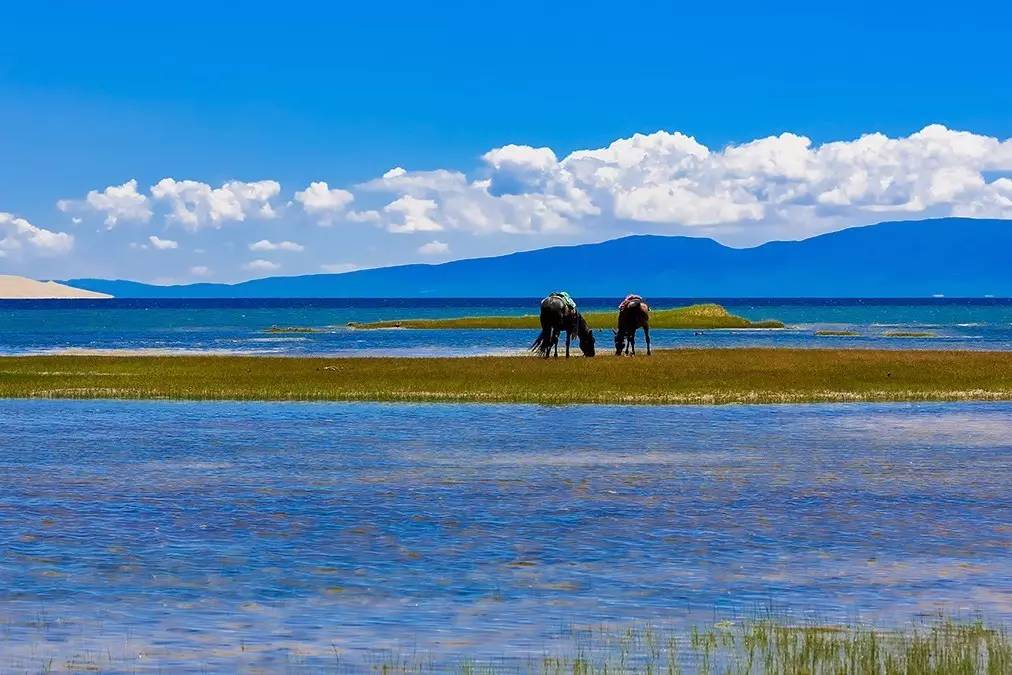 环青海湖大环线自驾游全攻略,青海湖环湖自驾哪里离青海湖最近