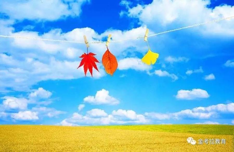 金融人的心理问题,金融心理学个人感悟