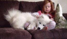 萨摩耶跟二哈哪个好养,二哈和萨摩耶哪个好养