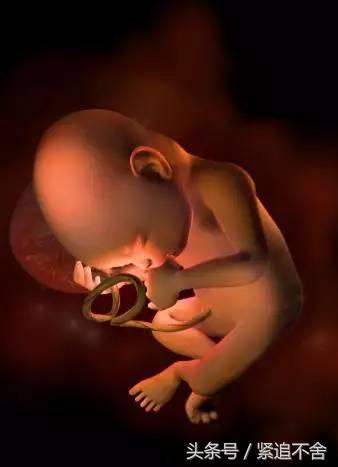 超萌龙凤胎宝宝图片,孕1到9周胎儿发育全过程