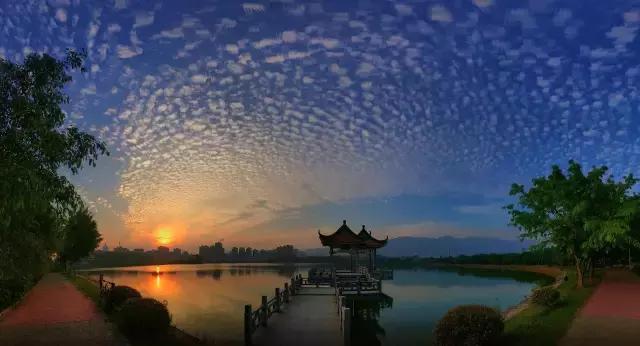 七星岩夏天的荷花图片,七星岩景区有荷花吗