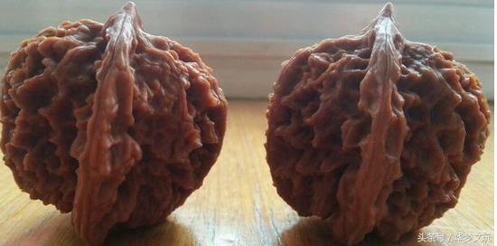 龙鳞纹狮子头和龙鳞纹官帽区别,金刚纹官帽狮子头