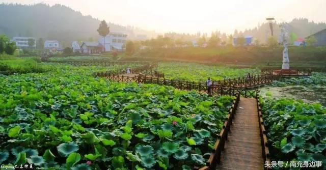 南充最大的县排名,南充第一大乡镇