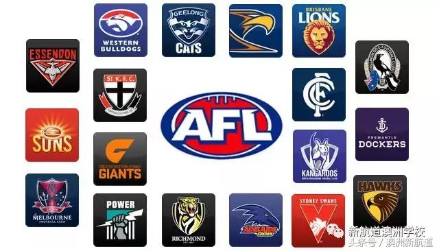 什么是澳式橄榄球,澳大利亚人最喜欢的澳式橄榄球