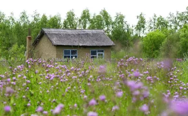 有一种生活叫田园生活,向往农村的田园生活的说说